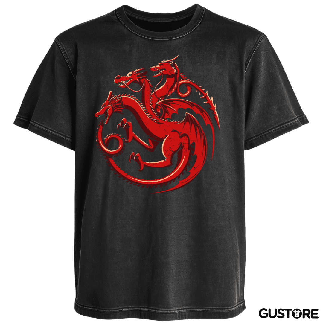 Polera desgastada Dragones Animados
