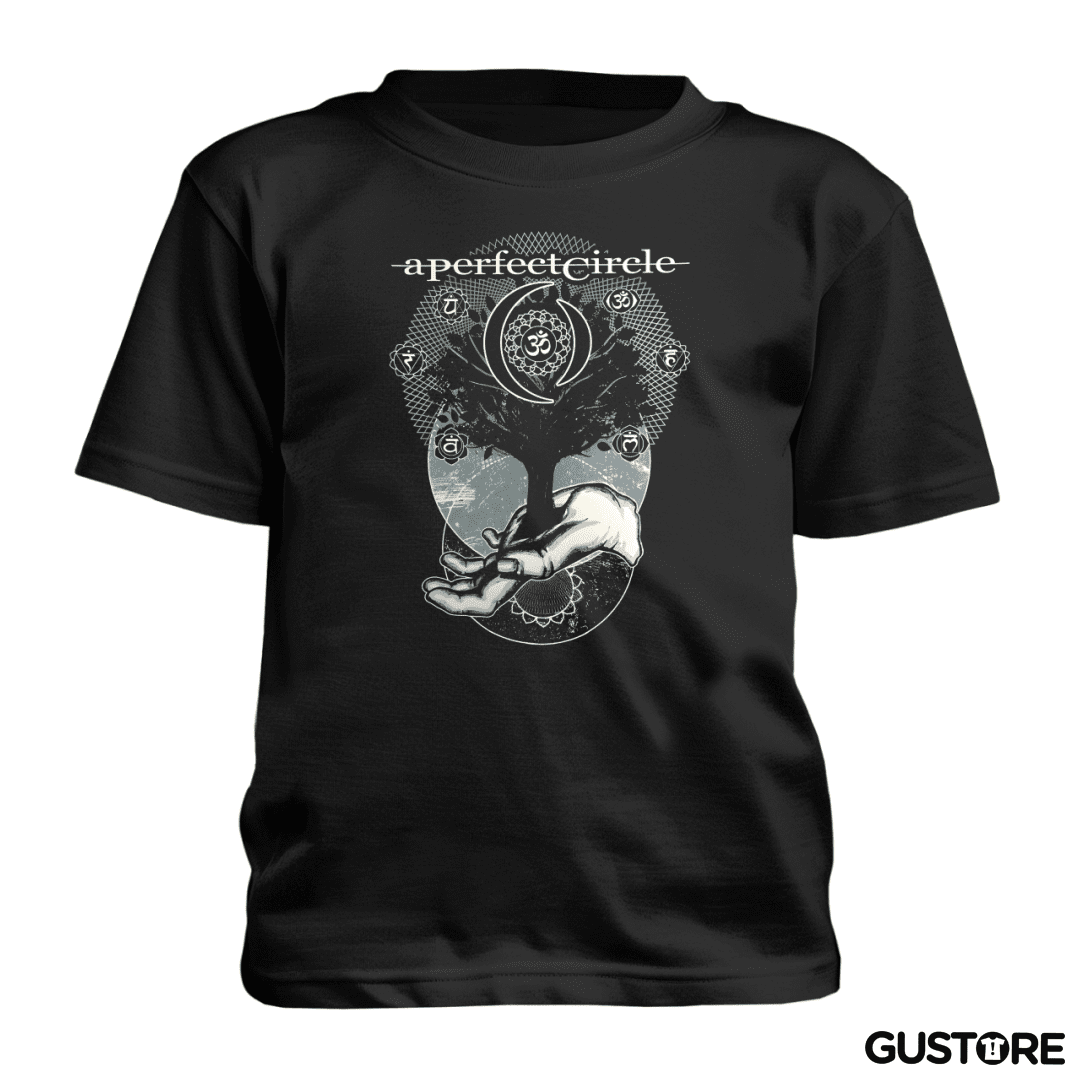 Polera de niño A perfect circle 2