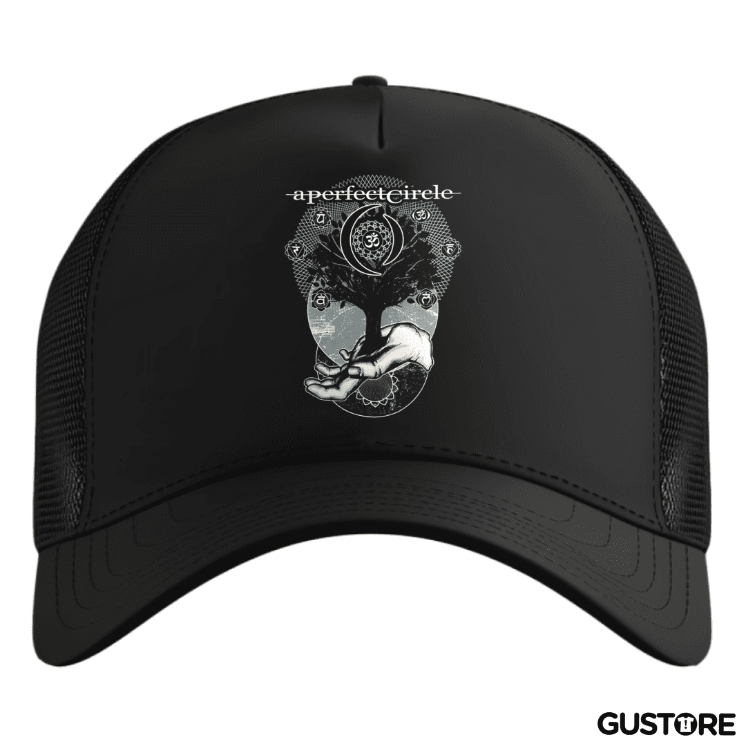 Gorro A perfect circle 2