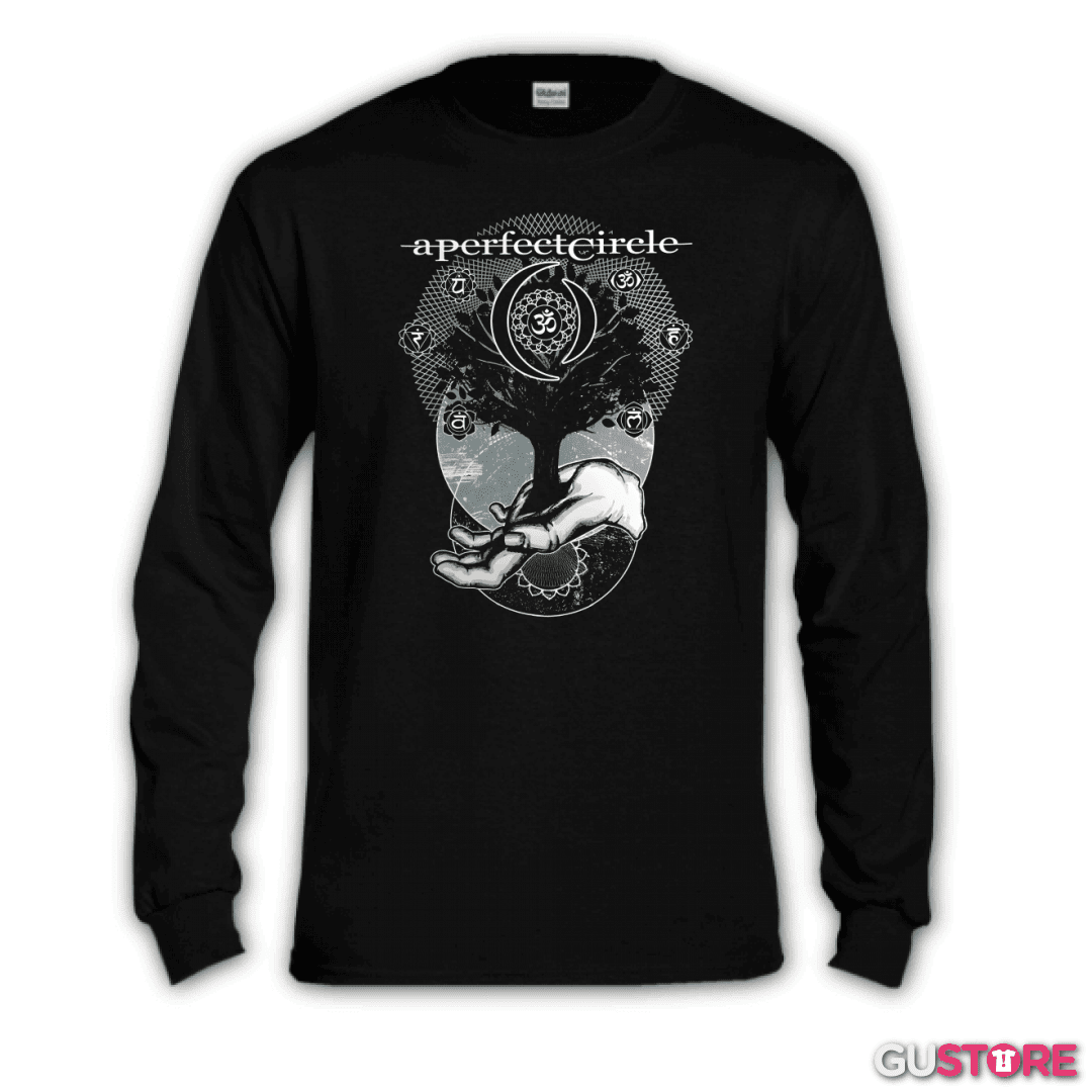 Polera manga larga A perfect circle 2