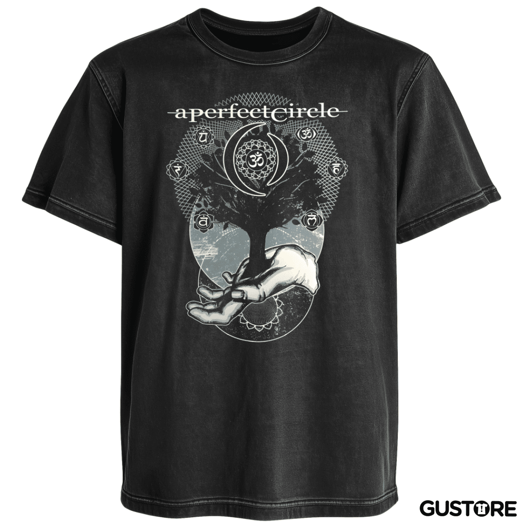 Polera desgastada A perfect circle 2
