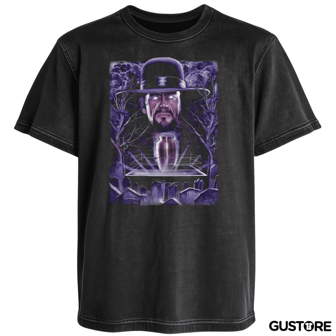 Polera desgastada El Fenomeno
