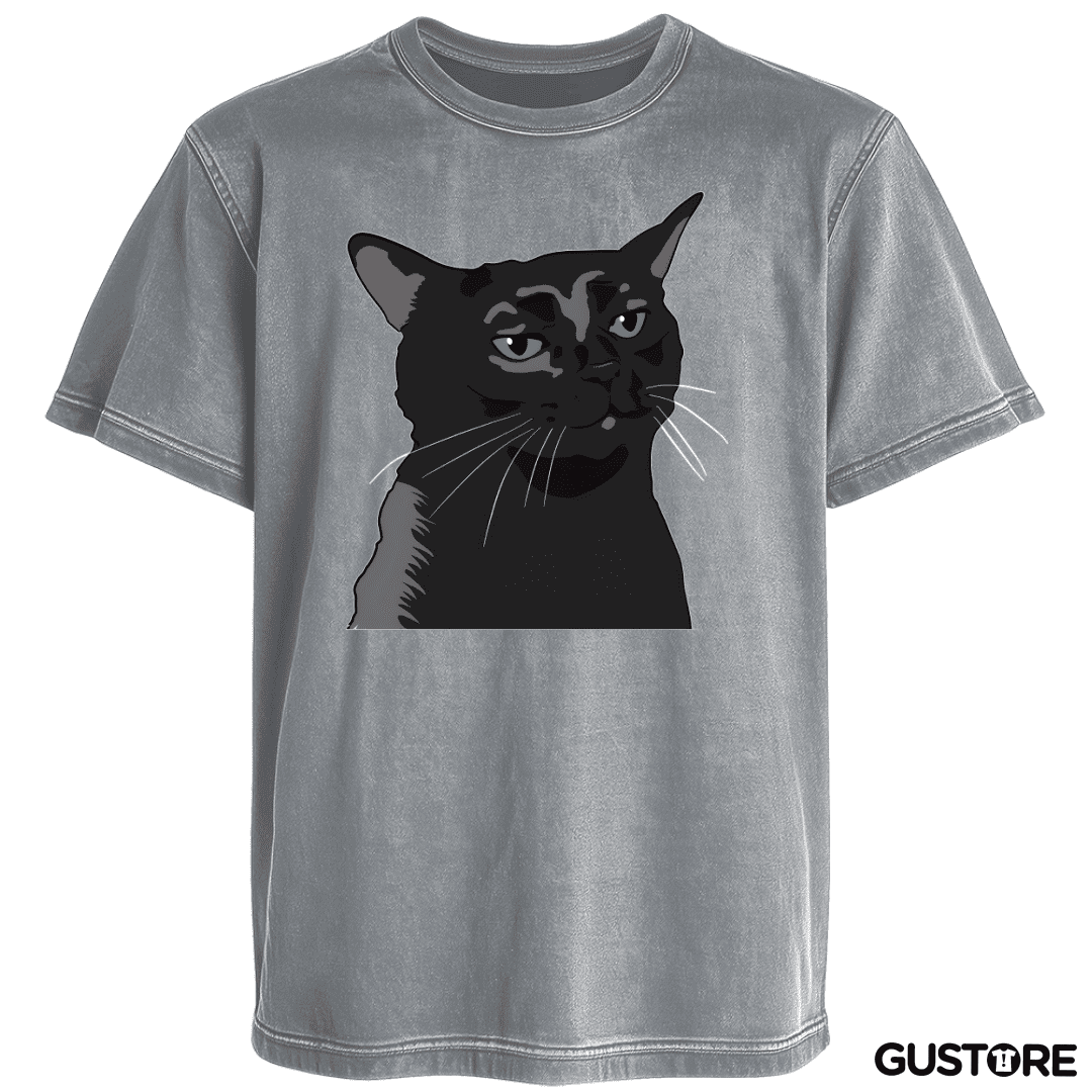 Polera desgastada Gatito Negro MEME