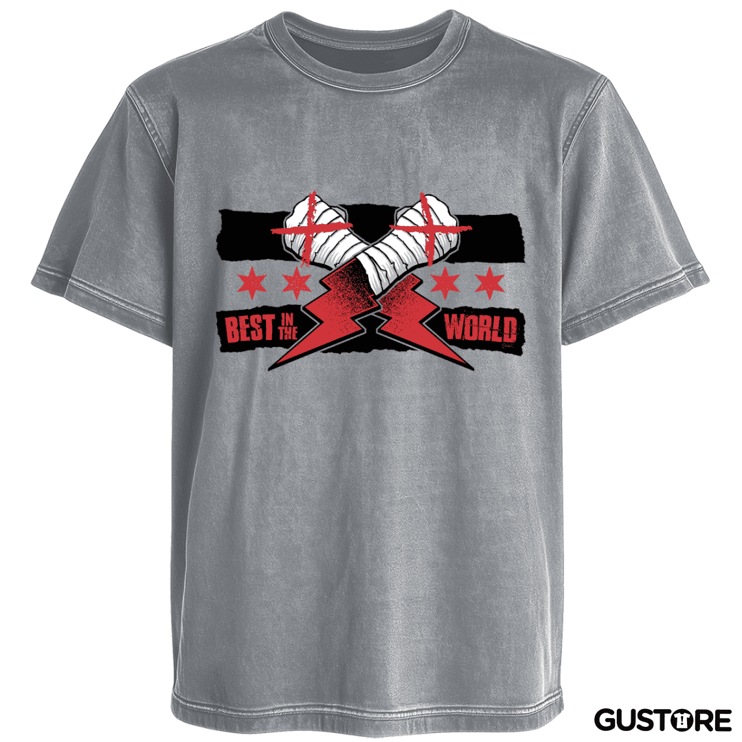 Polera desgastada Best in the World