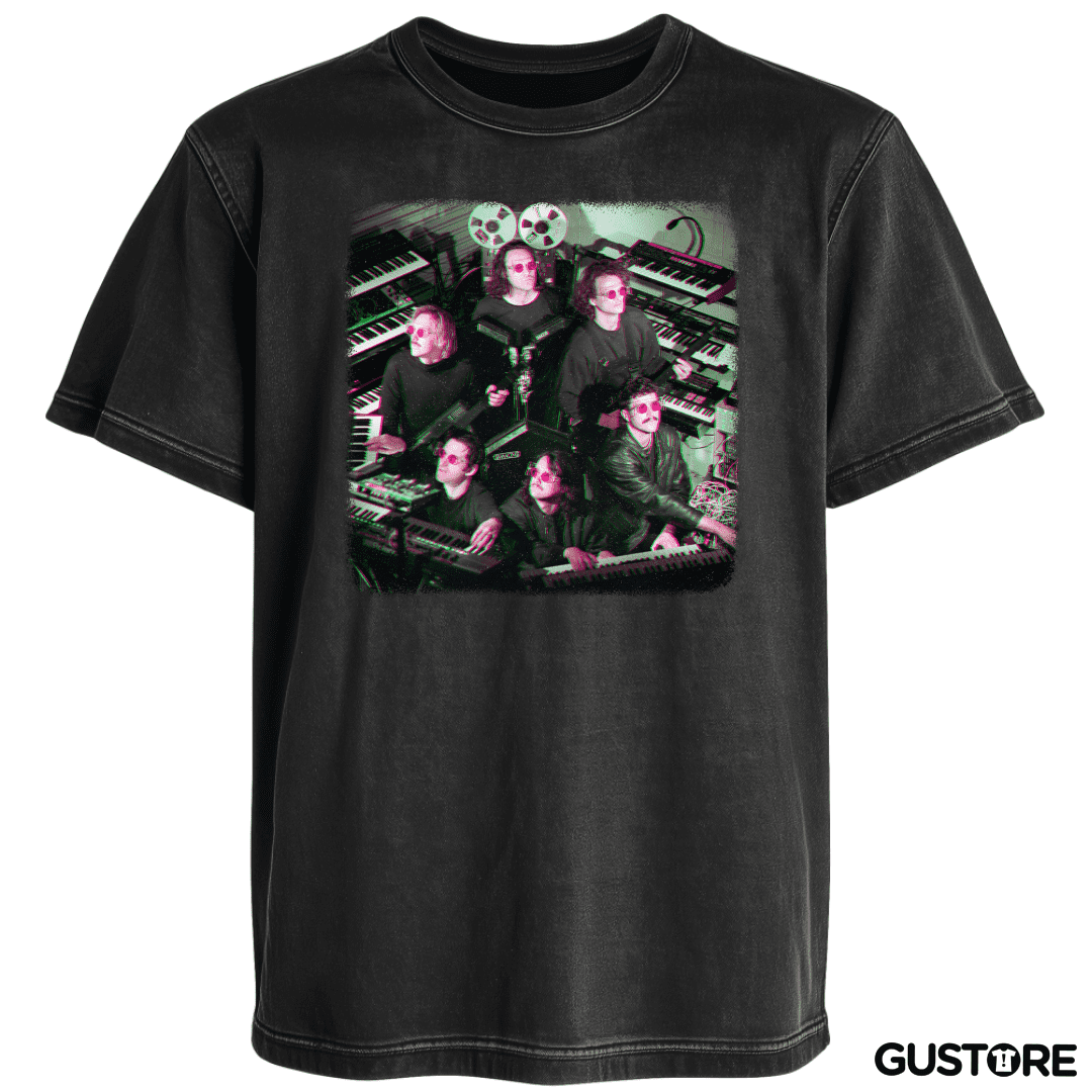Polera desgastada The Silver Cord