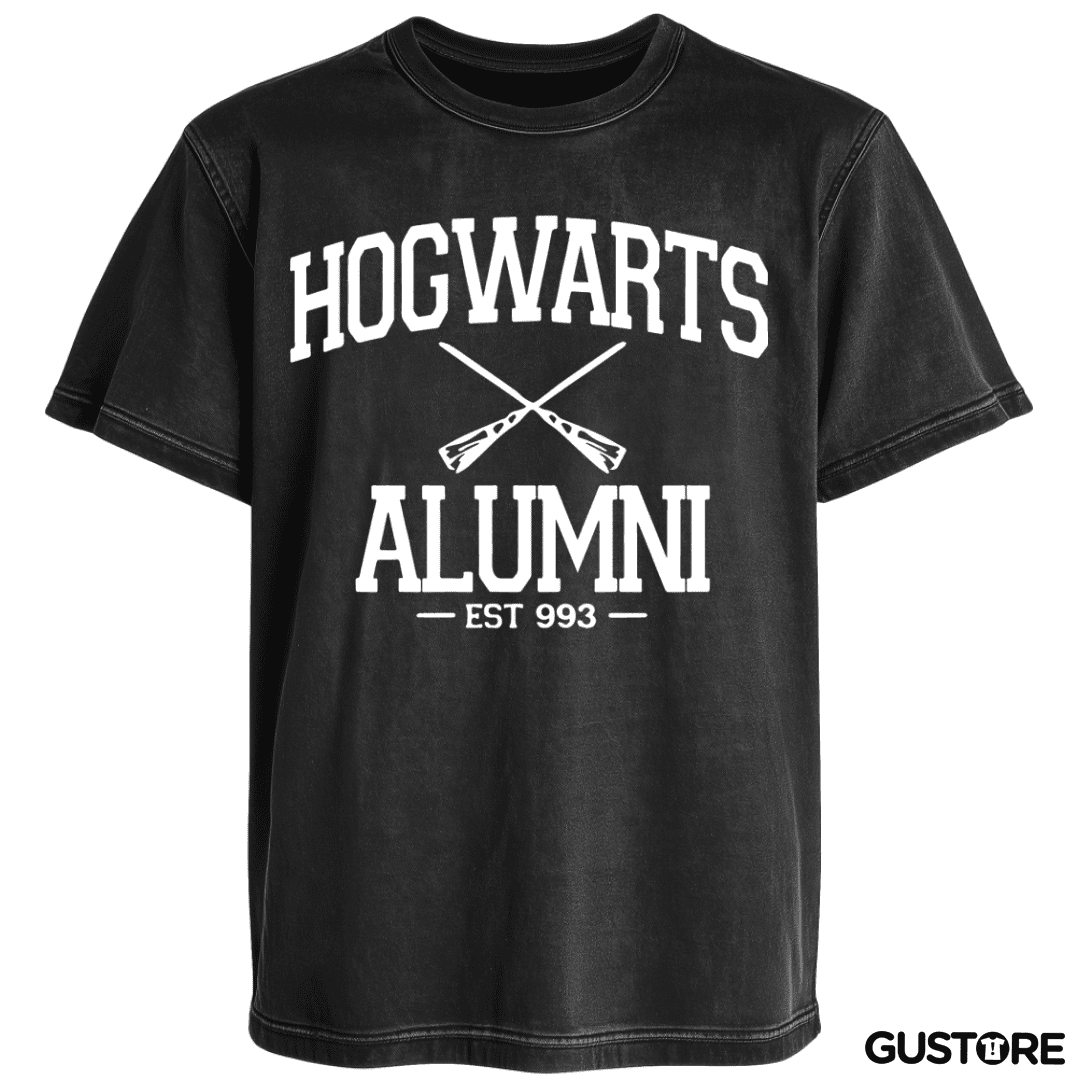 Polera desgastada Hogwarts alumni