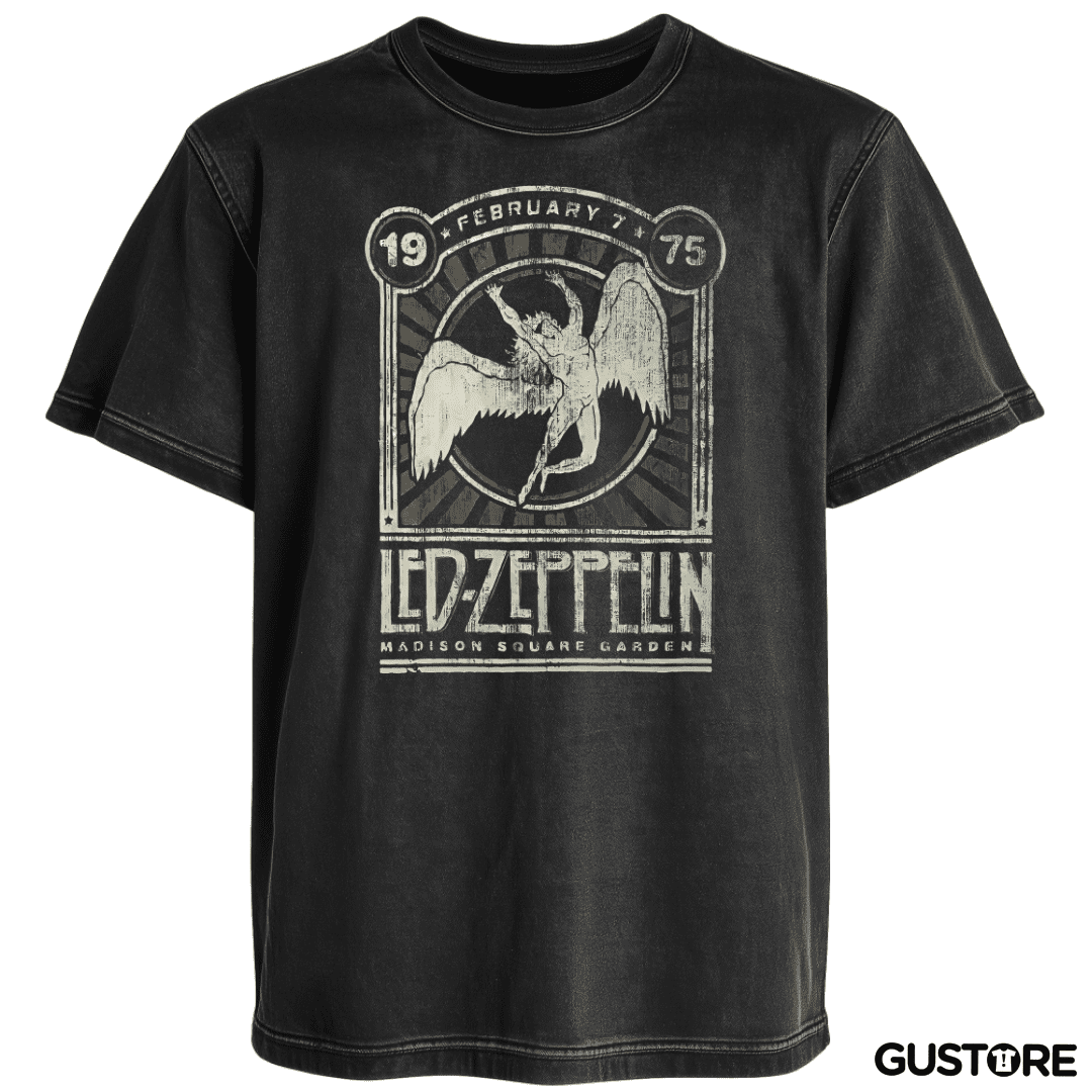 Polera desgastada LZ Madison Square Garden