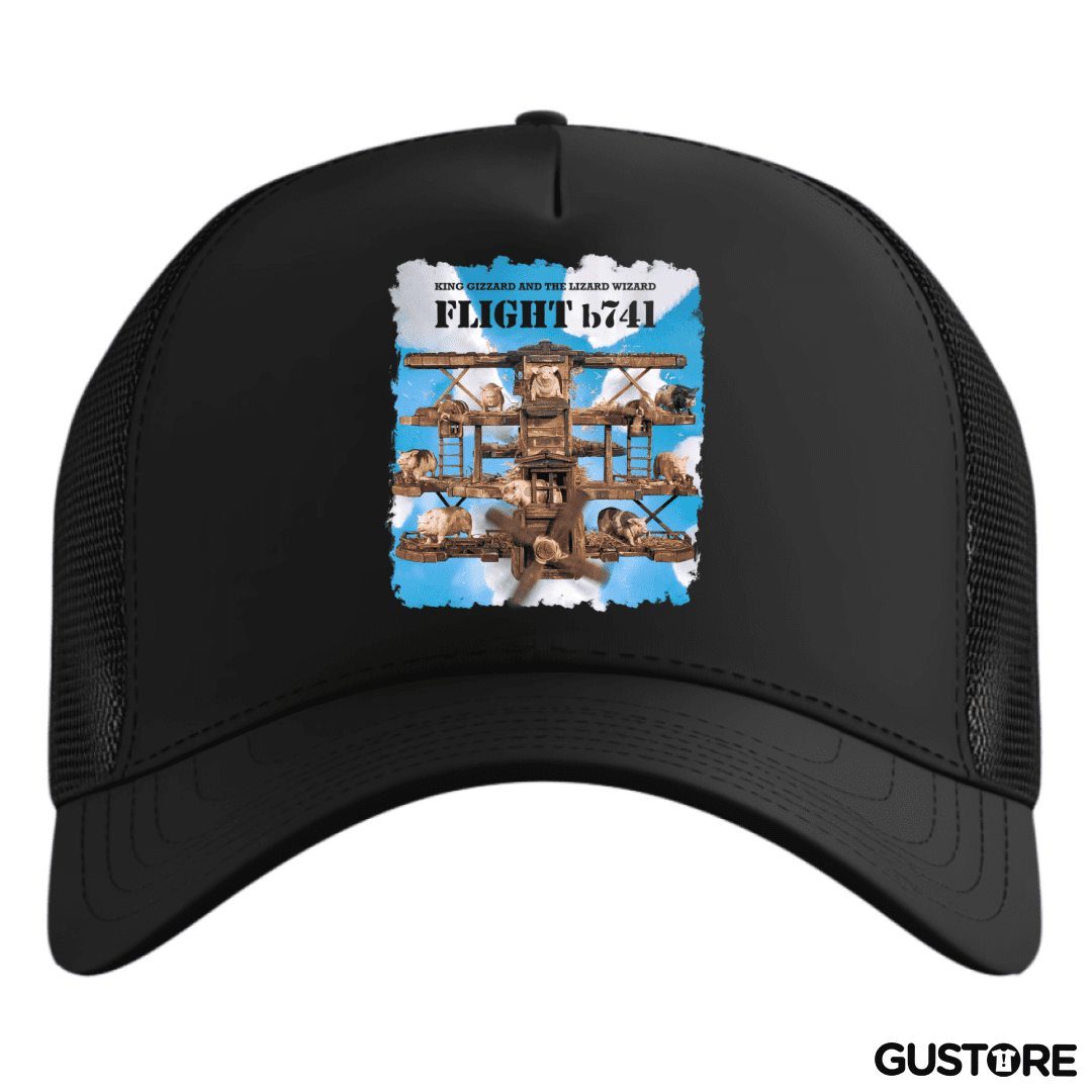 Gorro Flight b741