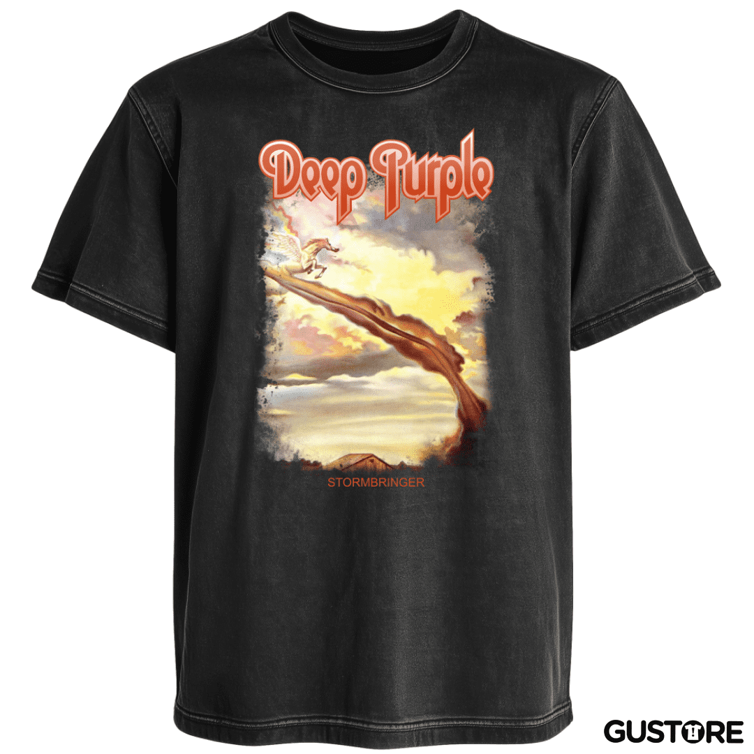 Polera desgastada Stormbringer