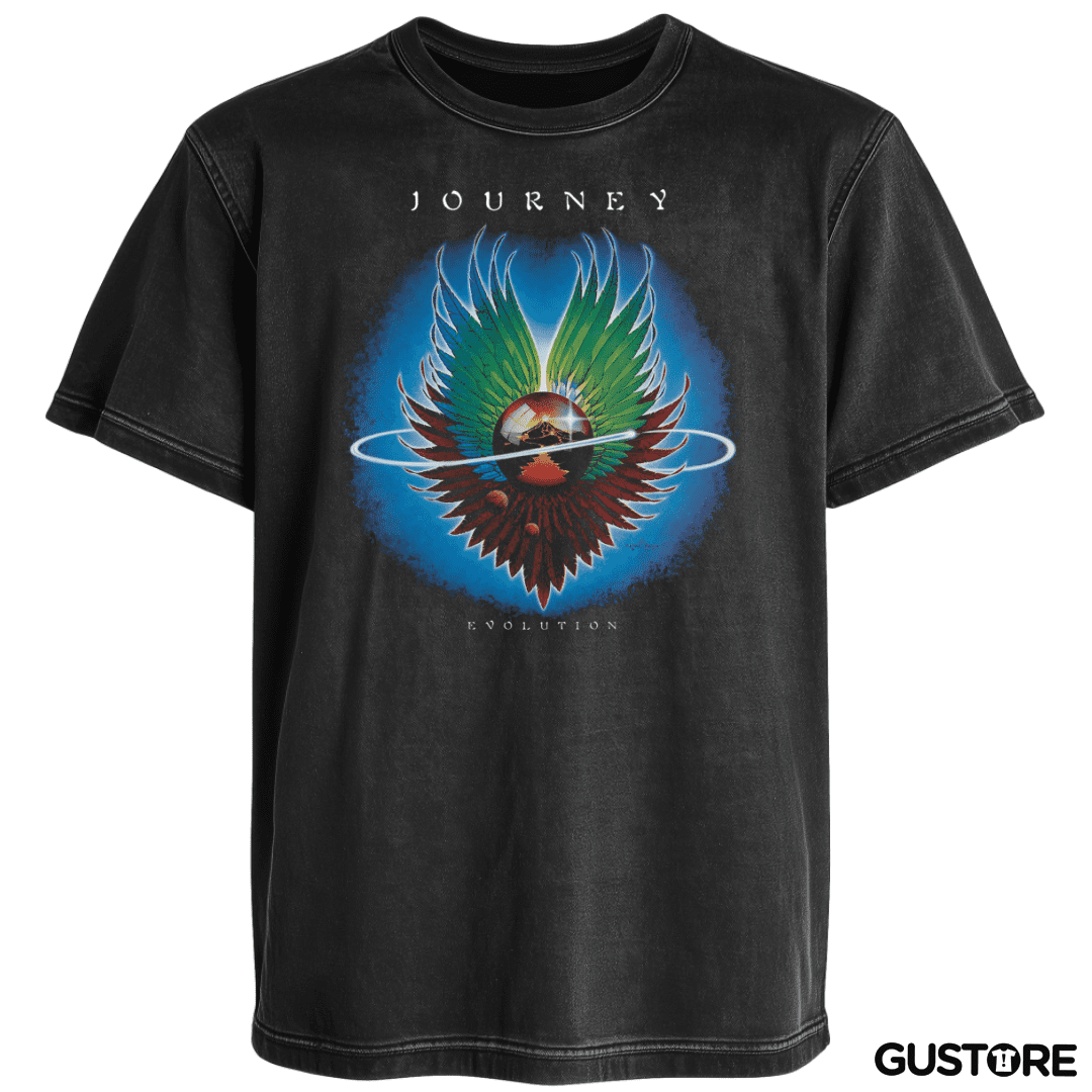 Polera desgastada Evolution