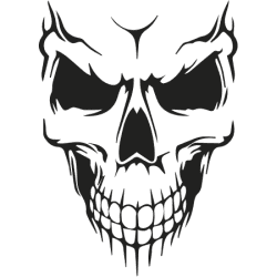 Estampado de Calavera 2