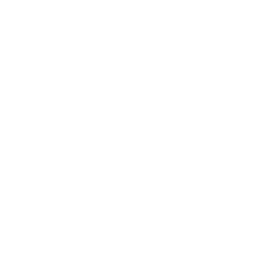 Estampado de Drive at 88 MPH