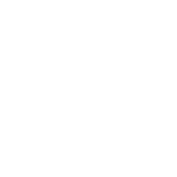 Estampado de Grave Anno 1988