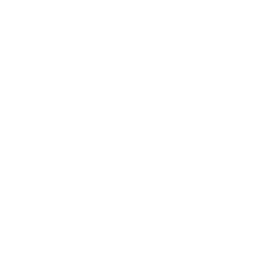 Estampado de Ramones