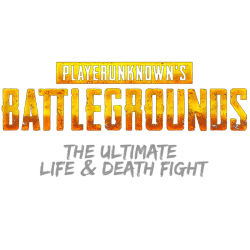 Estampado de PUBG
