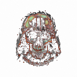 Estampado de Death vader