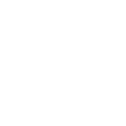 Estampado de The walking dad 2