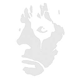 Estampado de Alice Cooper 