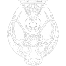 Estampado de Gat@ iluminati