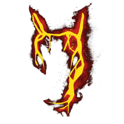 Estampado de Charizard