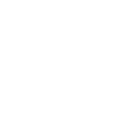 Estampado de Sons of Bardock