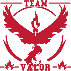 Estampado de Team Valor