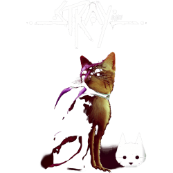Estampado de Gatito Stray