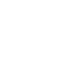 Estampado de Frank Castle