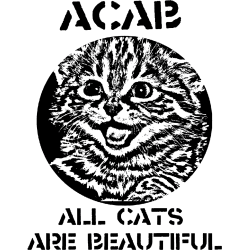 Estampado de All Cat Are Beautiful