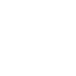 Estampado de Link of the Wild