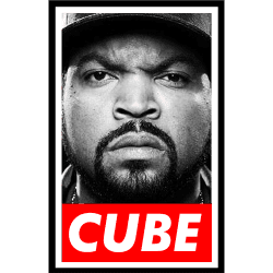 Estampado de Cube