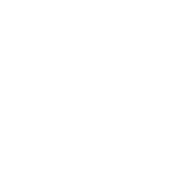 Estampado de Panda