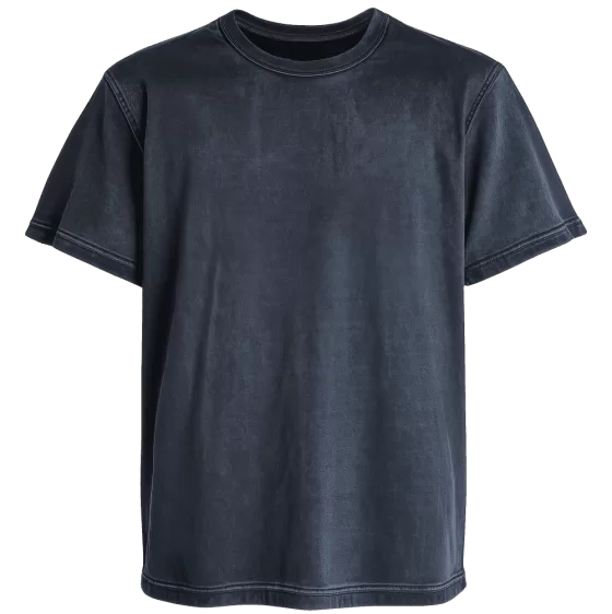 Polera desgastada Escudo de america