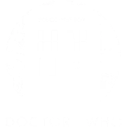 Estampado de Doctor who2