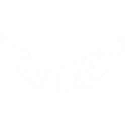 Estampado de Alas