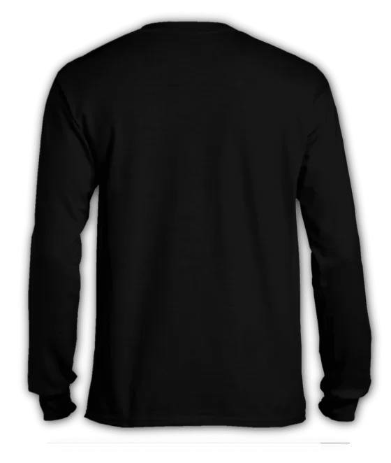 Polera manga larga Zelda ocarina logos espalda