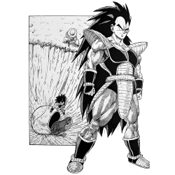 Estampado de La llegada de Raditz