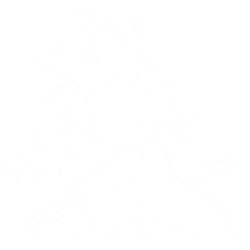 Estampado de El Goku Shiggoh