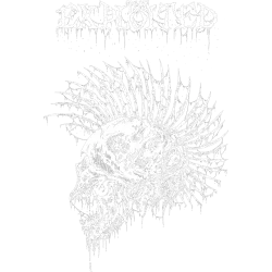 Estampado de The Exploited Skull