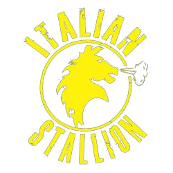Estampado de Rocky Italian stallion