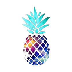 Estampado de Space piña
