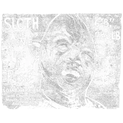 Estampado de Sloth goonies