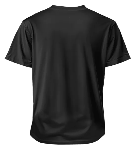 Polera Zelda ocarina logos espalda