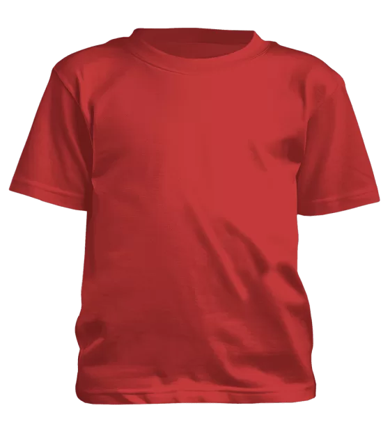 Polera de niño Goku