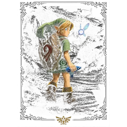 Estampado de Young link ocarina switch 2